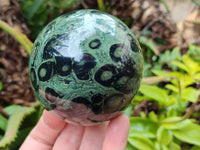 Polished Stromatolite Spheres x 4 From Katsepy, Madagascar