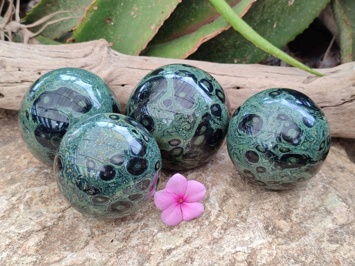 Polished Stromatolite Spheres x 4 From Katsepy, Madagascar