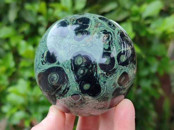 Polished Stromatolite Spheres x 4 From Katsepy, Madagascar