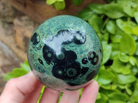 Polished Stromatolite Spheres x 4 From Katsepy, Madagascar