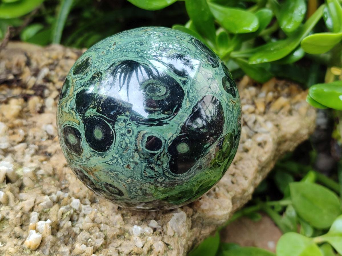 Polished Stromatolite Spheres x 4 From Katsepy, Madagascar