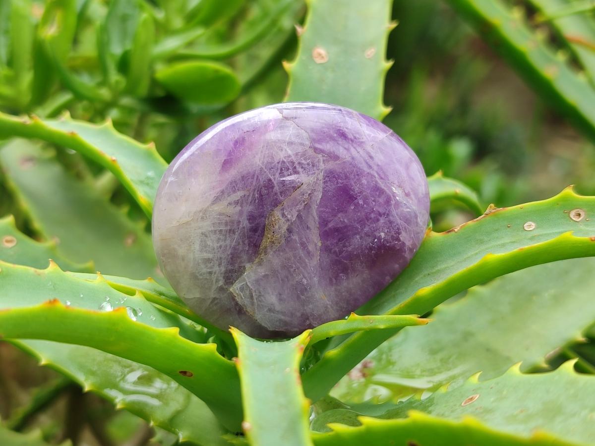 Polished Chevron Amethyst Galets x 35 From Madagascar
