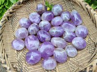 Polished Chevron Amethyst Galets x 35 From Madagascar