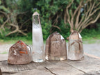 Polished Mixed Smokey Window Quartz Crystals x 17 From Madagascar