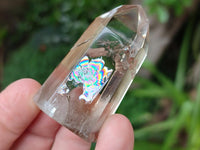 Polished Mixed Smokey Window Quartz Crystals x 17 From Madagascar