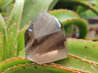 Polished Mixed Smokey Window Quartz Crystals x 17 From Madagascar