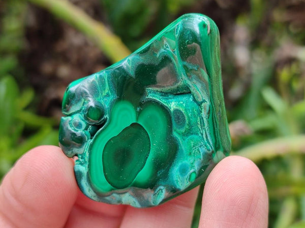 Polished Flower Banded Malachite Free Forms x 12 From Congo