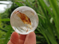 Polished Clear Quartz Crystal Balls x 6 From Madagascar