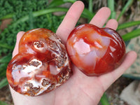 Polished Carnelian Agate Gemstone Hearts x 6 From Madagascar