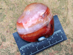 Polished Carnelian Agate Gemstone Hearts x 6 From Madagascar
