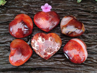 Polished Carnelian Agate Gemstone Hearts x 6 From Madagascar