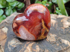 Polished Carnelian Agate Gemstone Hearts x 6 From Madagascar