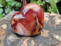 Polished Carnelian Agate Gemstone Hearts x 6 From Madagascar