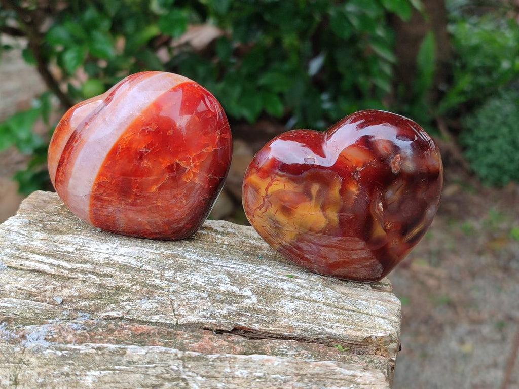 Polished Carnelian Agate Gemstone Hearts x 6 From Madagascar
