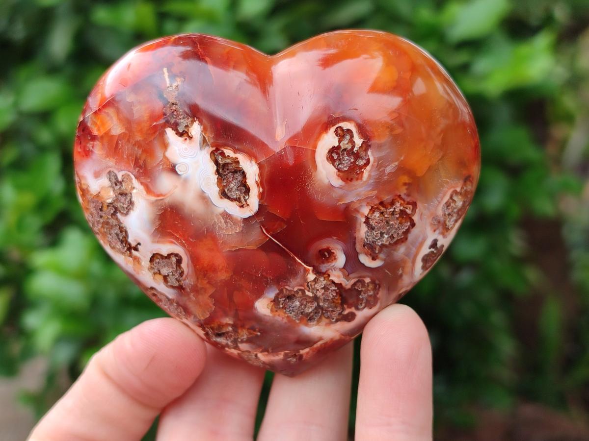 Polished Carnelian Agate Gemstone Hearts x 6 From Madagascar