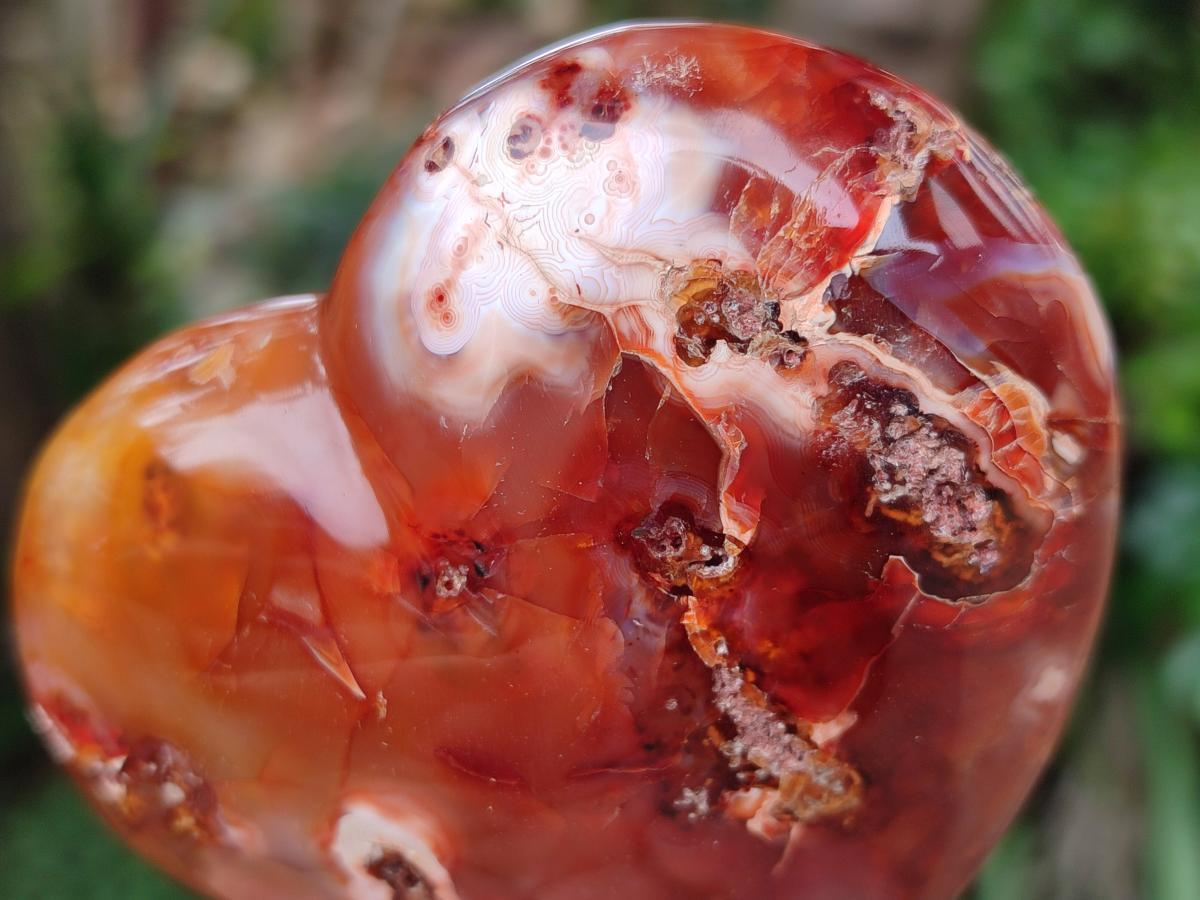 Polished Carnelian Agate Gemstone Hearts x 6 From Madagascar