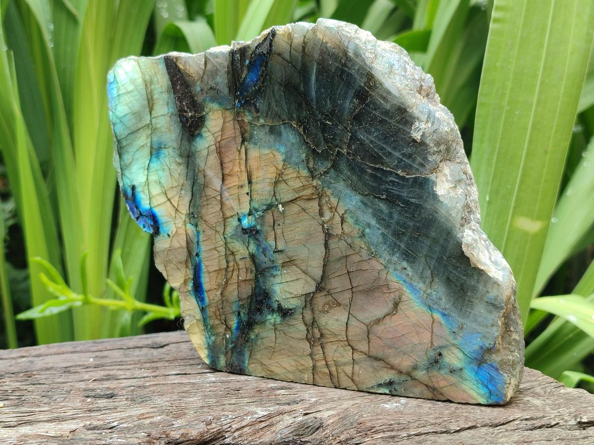 Polished One Side Labradorite Display Pieces x 2 From Madagascar