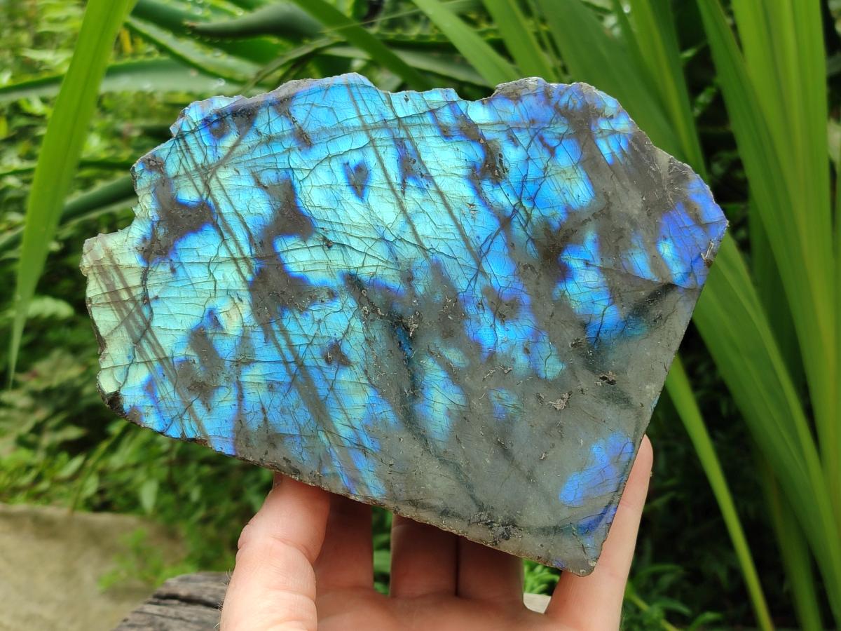 Polished One Side Labradorite Display Pieces x 2 From Madagascar