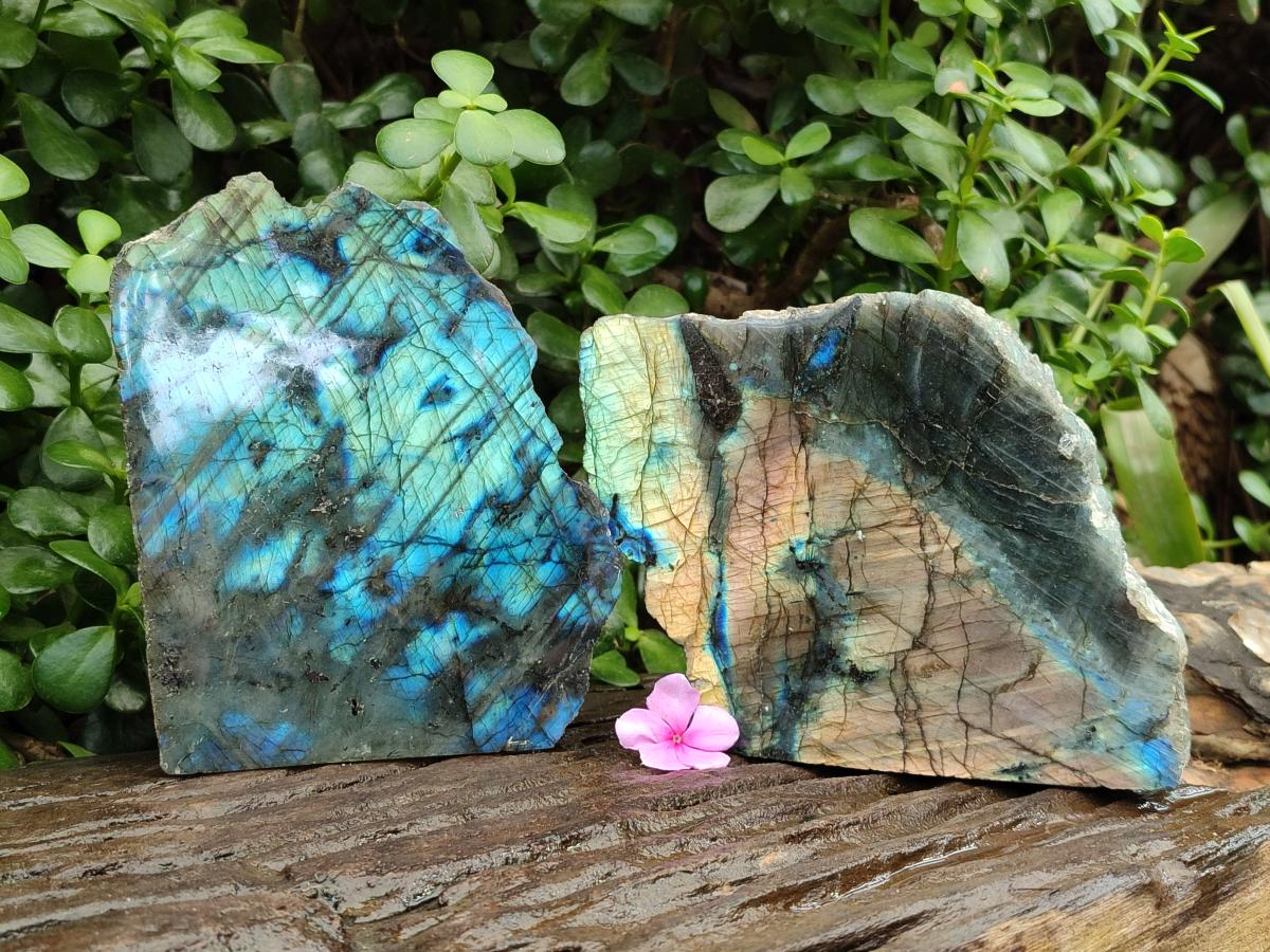 Polished One Side Labradorite Display Pieces x 2 From Madagascar