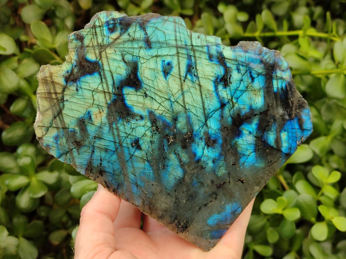 Polished One Side Labradorite Display Pieces x 2 From Madagascar