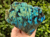 Polished One Side Labradorite Display Pieces x 2 From Madagascar