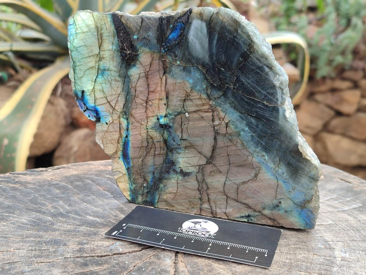 Polished One Side Labradorite Display Pieces x 2 From Madagascar
