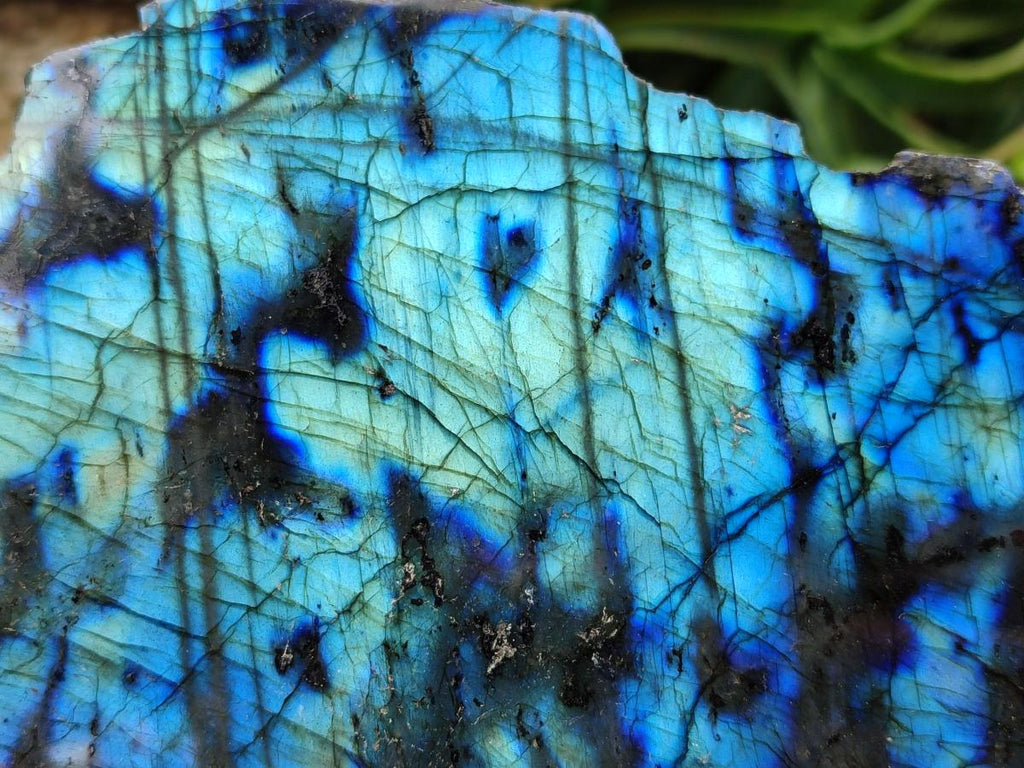 Polished One Side Labradorite Display Pieces x 2 From Madagascar