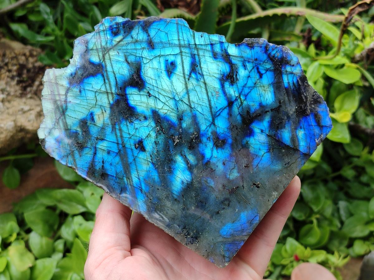 Polished One Side Labradorite Display Pieces x 2 From Madagascar