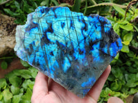 Polished One Side Labradorite Display Pieces x 2 From Madagascar