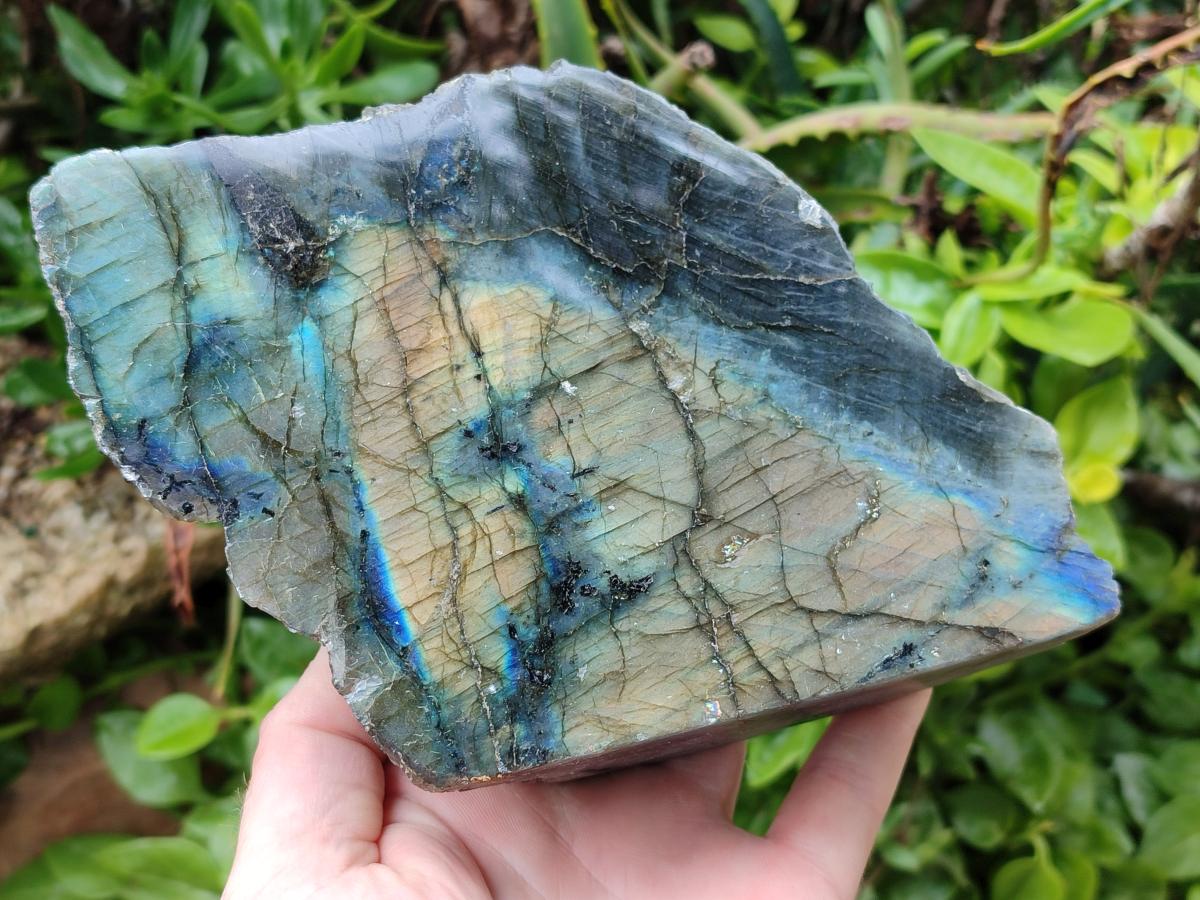 Polished One Side Labradorite Display Pieces x 2 From Madagascar