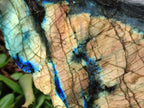 Polished One Side Labradorite Display Pieces x 2 From Madagascar