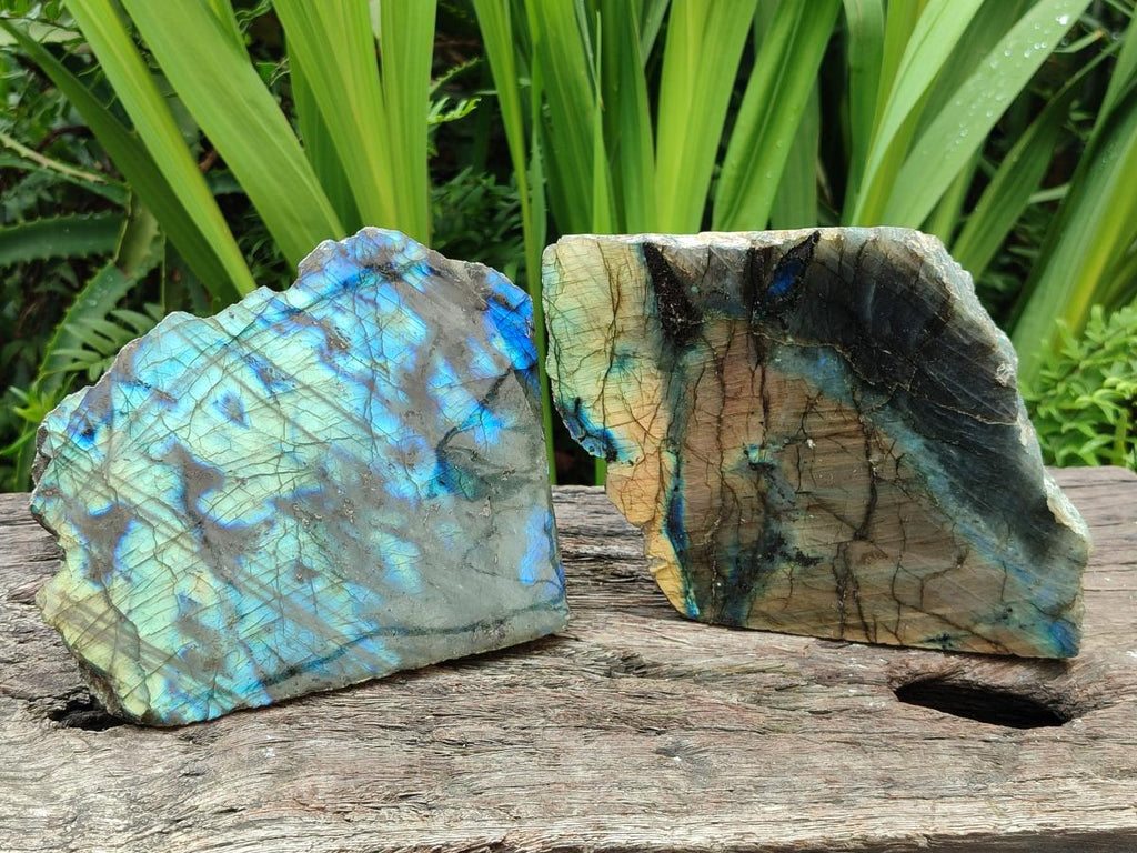 Polished One Side Labradorite Display Pieces x 2 From Madagascar