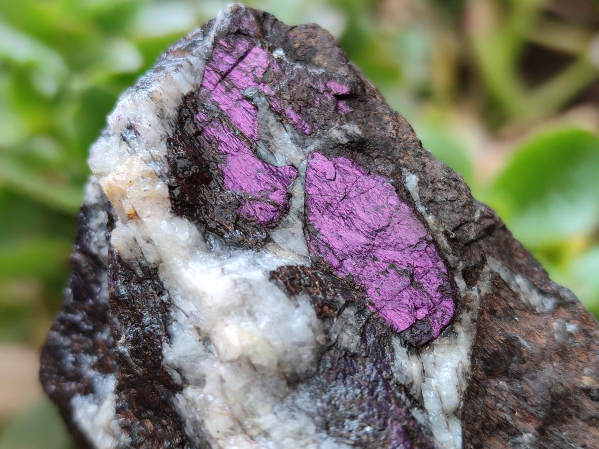 Natural Metallic Cobbed Purpurite Specimens x 12 From Erongo, Namibia