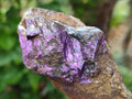 Natural Metallic Cobbed Purpurite Specimens x 12 From Erongo, Namibia