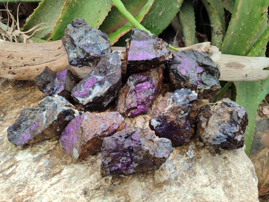 Natural Metallic Cobbed Purpurite Specimens x 12 From Erongo, Namibia