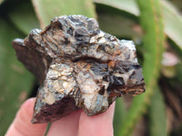 Natural Metallic Cobbed Purpurite Specimens x 12 From Erongo, Namibia