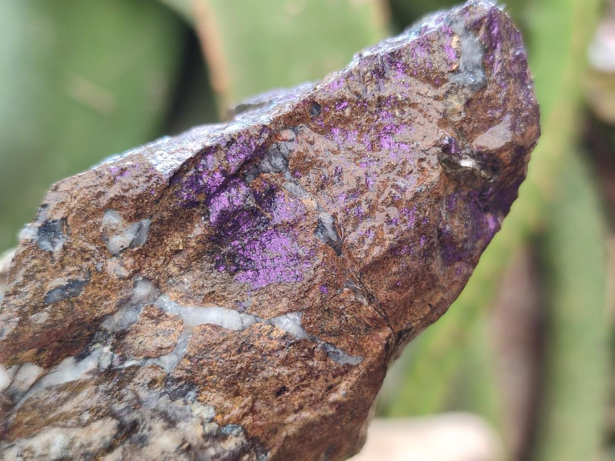 Natural Metallic Cobbed Purpurite Specimens x 12 From Erongo, Namibia