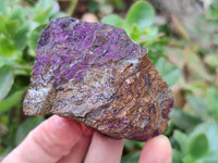 Natural Metallic Cobbed Purpurite Specimens x 12 From Erongo, Namibia