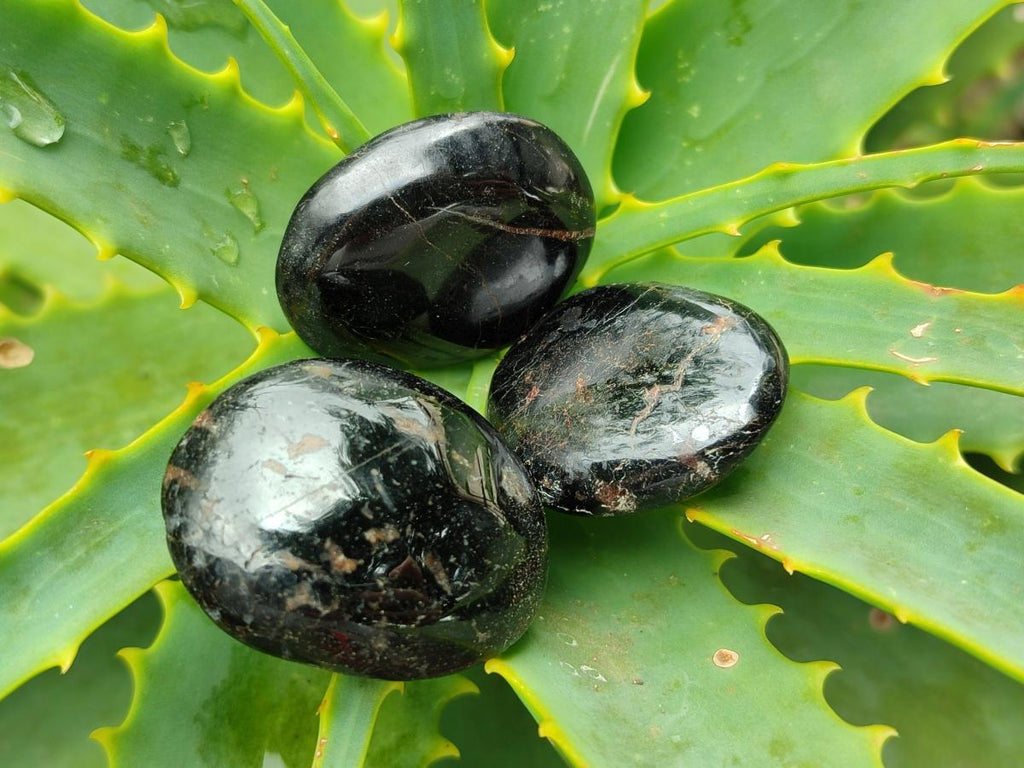 Polished Black Tourmaline Galets x 35 From Madagascar