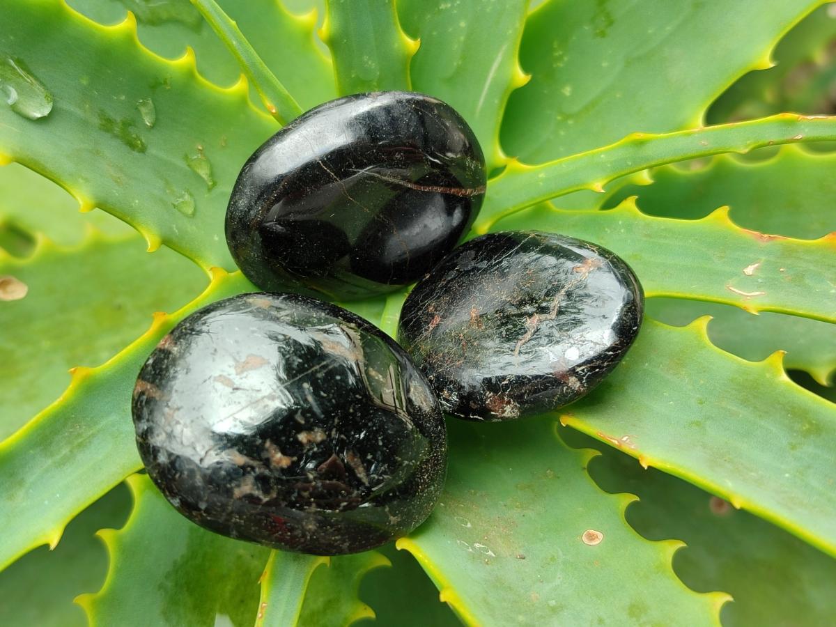 Polished Black Tourmaline Galets x 35 From Madagascar