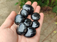 Polished Black Tourmaline Galets x 35 From Madagascar