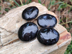 Polished Black Tourmaline Galets x 35 From Madagascar