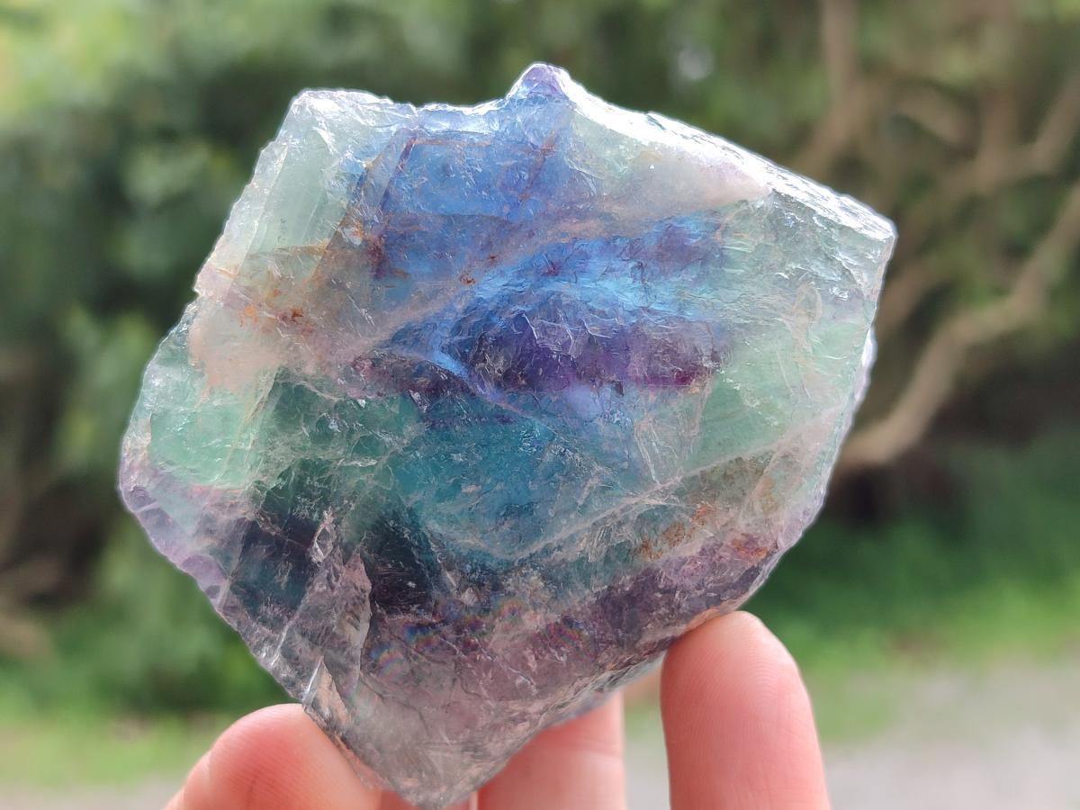 Natural Watermelon Fluorite Cobbed Specimens x 12 From Uis, Namibia
