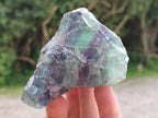 Natural Watermelon Fluorite Cobbed Specimens x 12 From Uis, Namibia