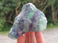 Natural Watermelon Fluorite Cobbed Specimens x 12 From Uis, Namibia