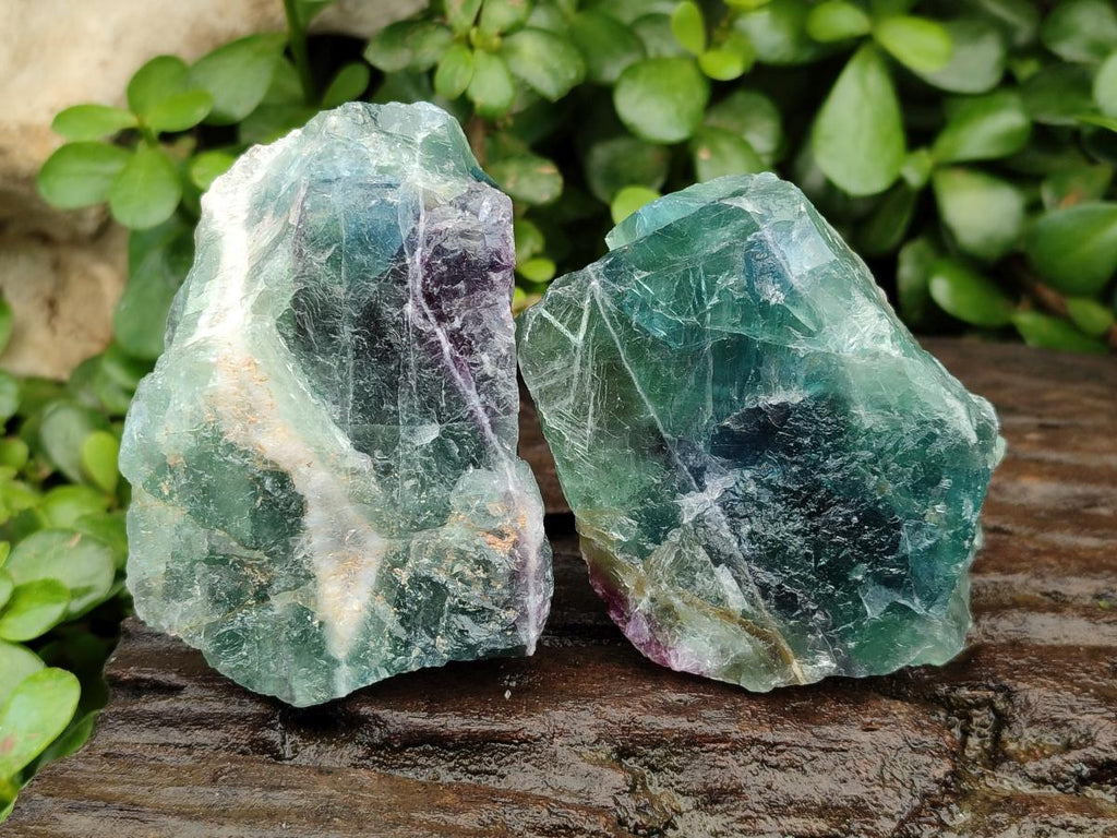 Natural Watermelon Fluorite Cobbed Specimens x 12 From Uis, Namibia