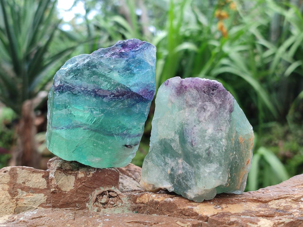 Natural Watermelon Fluorite Cobbed Specimens x 12 From Uis, Namibia