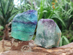 Natural Watermelon Fluorite Cobbed Specimens x 12 From Uis, Namibia