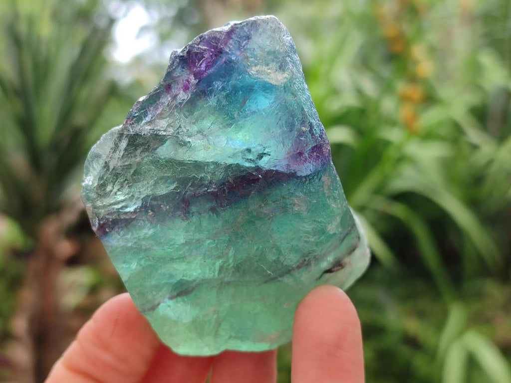 Natural Watermelon Fluorite Cobbed Specimens x 12 From Uis, Namibia