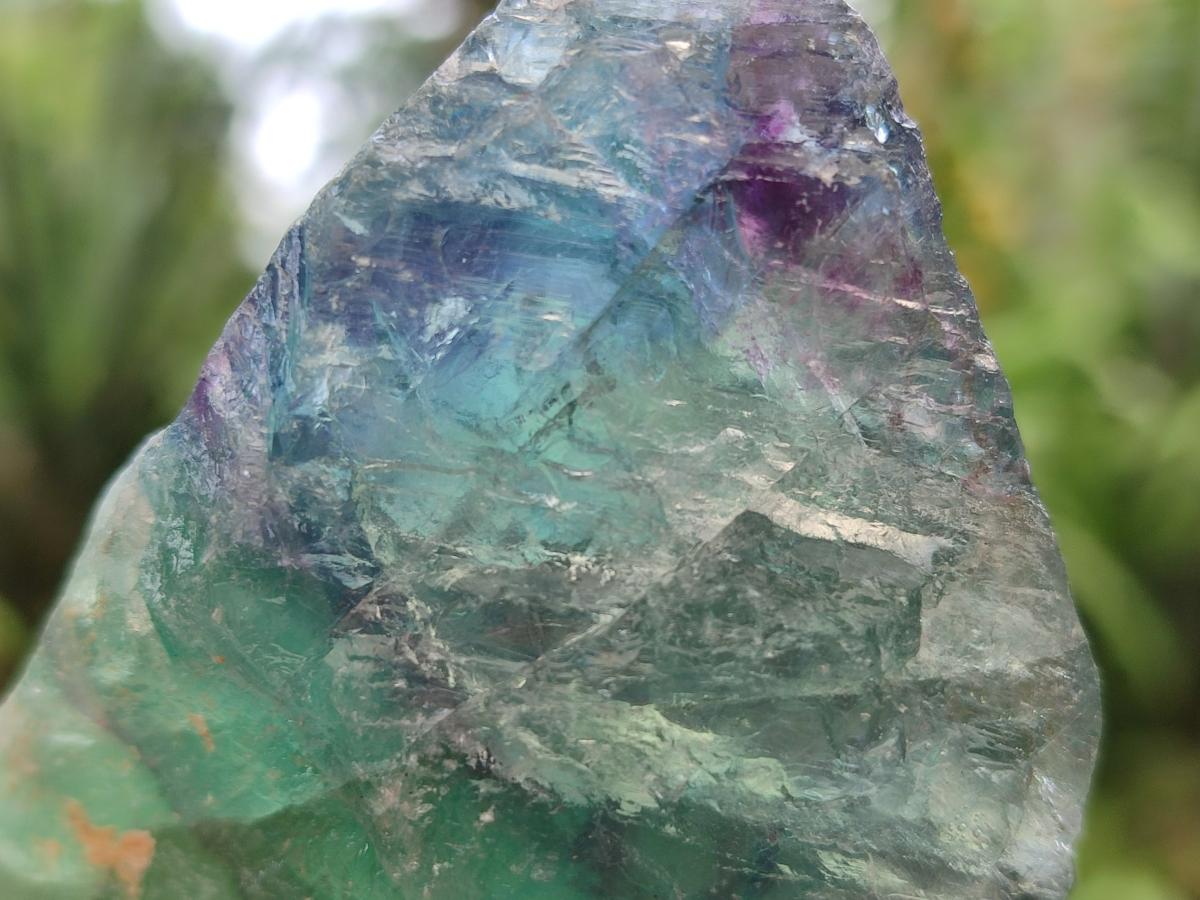 Natural Watermelon Fluorite Cobbed Specimens x 12 From Uis, Namibia